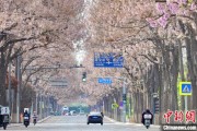 儋州共建“花园城市” 北京这场议政会“百花齐放”