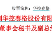 儋州华控赛格董事长、董秘、副总经理三高管同日辞职